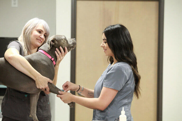 Pendleton Veterinary Clinic – Pendleton, Oregon