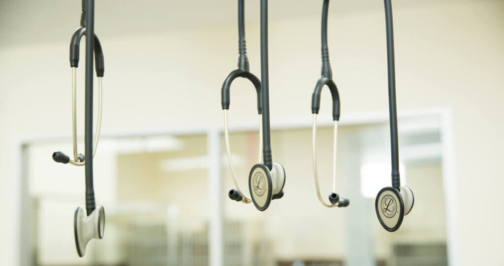 Veterinarian Stethoscope - Pendleton Veterinary Clinic