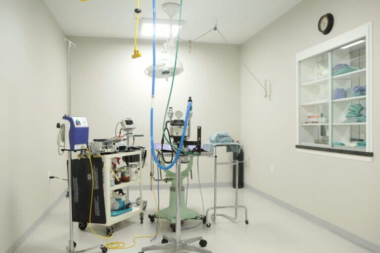 Pendleton Veterinary Clinic – Pendleton, Oregon