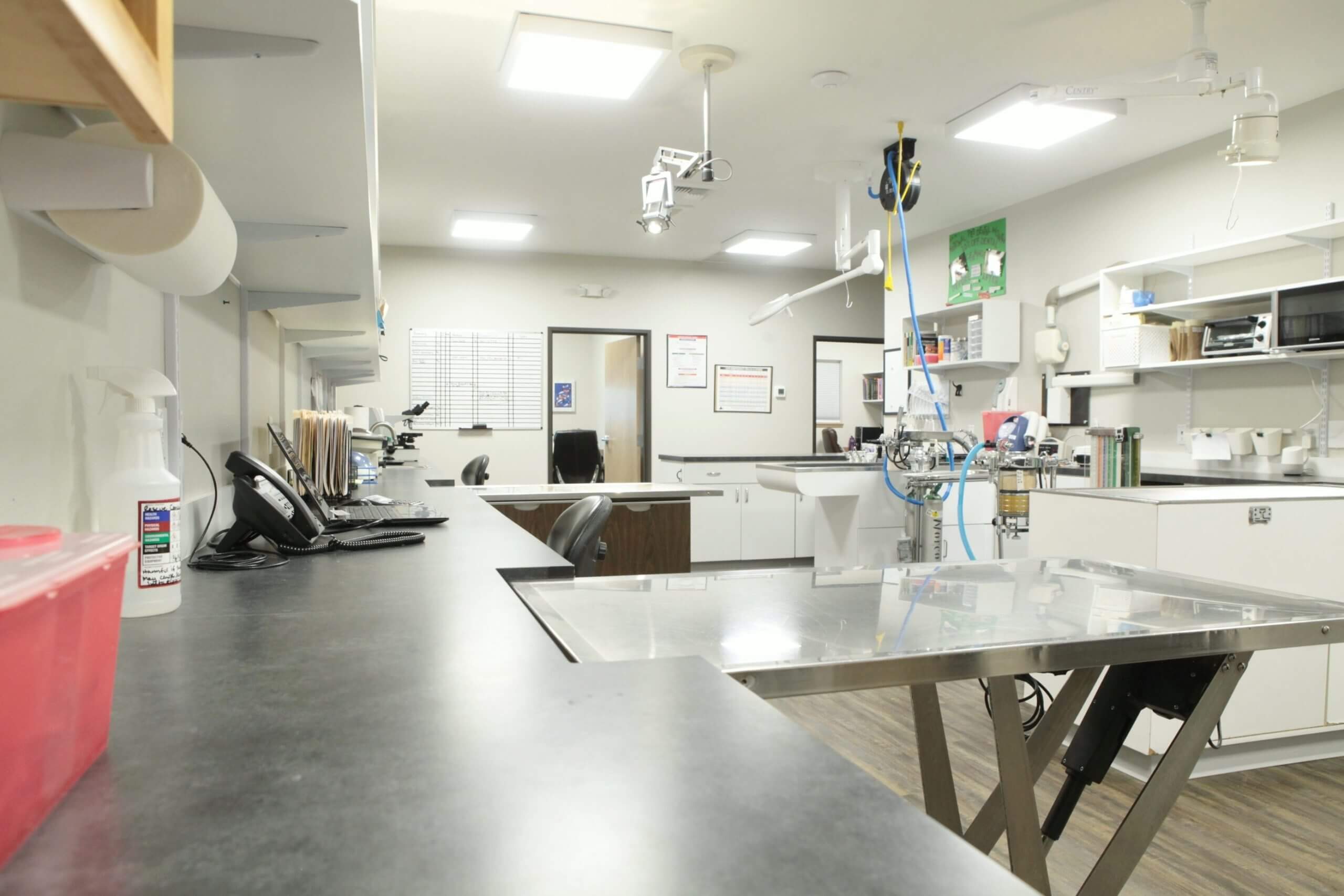 Veterinary Treatment Room - Pendleton Veterinary Clinic