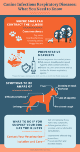 Canine Infectious Respiratory Diseases