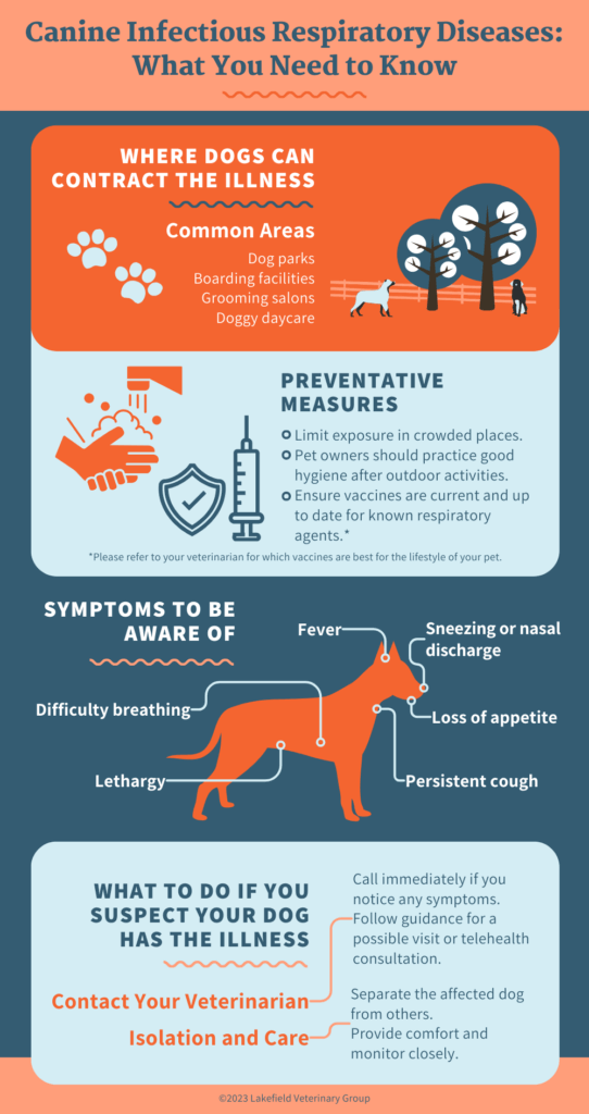 https://pendletonveterinaryclinic.com/wp-content/uploads/2025/09/Canine-Infectious-Respiratory-Diseases-Infographic-542x1024.png?utm_source=chatgpt.com